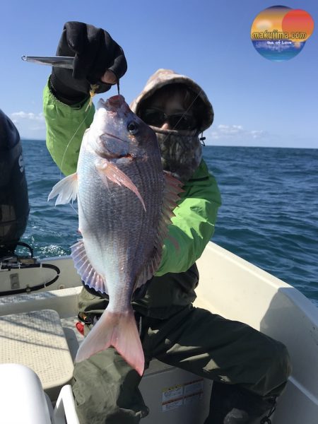 幕島丸 釣果