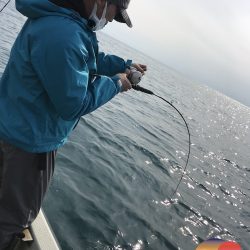 幕島丸 釣果