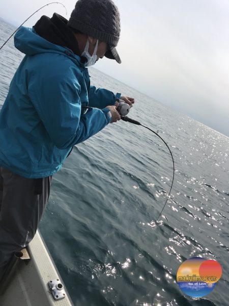 幕島丸 釣果