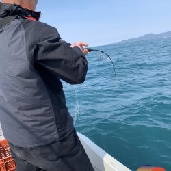 幕島丸 釣果