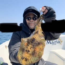 きずなまりん 釣果