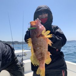 きずなまりん 釣果