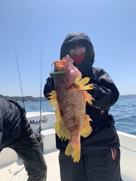 きずなまりん 釣果