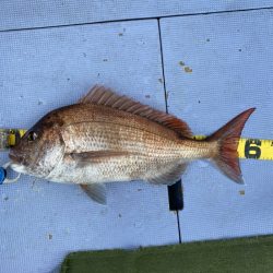 新幸丸 釣果