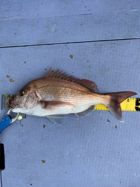 新幸丸 釣果