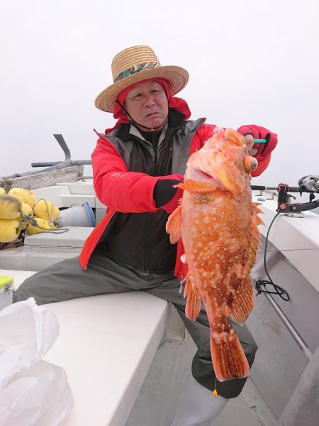 エンペラー 釣果