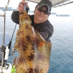 ソルトウォーターガイドフレンズ 釣果