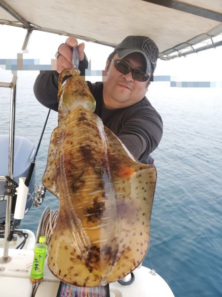 ソルトウォーターガイドフレンズ 釣果