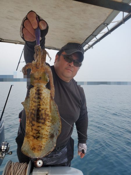 ソルトウォーターガイドフレンズ 釣果