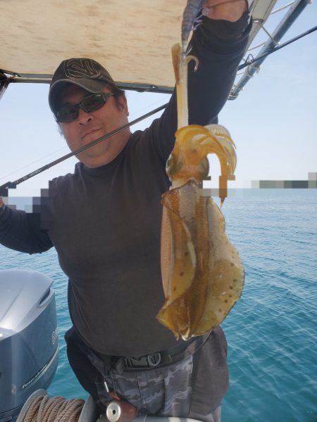 ソルトウォーターガイドフレンズ 釣果