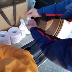 シーライオン 釣果