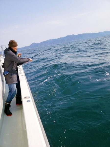 シーライオン 釣果