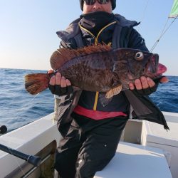 エンペラー 釣果