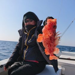 エンペラー 釣果