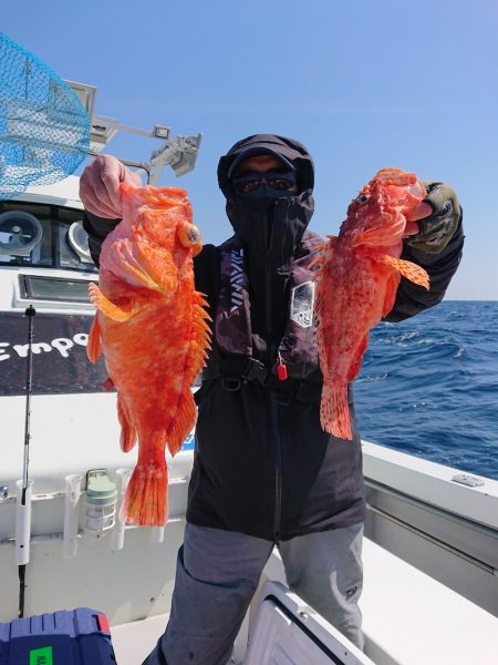 エンペラー 釣果