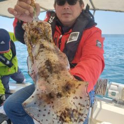 ソルトウォーターガイドフレンズ 釣果