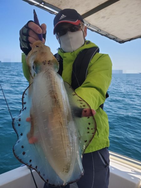 ソルトウォーターガイドフレンズ 釣果