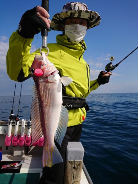 鷹王丸 釣果