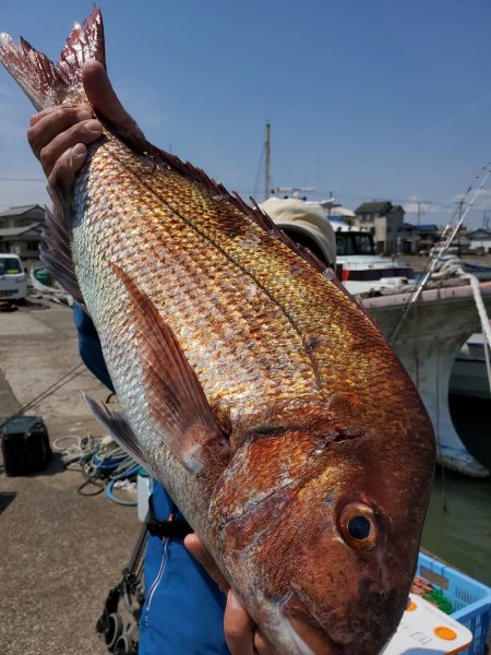 富士丸 釣果
