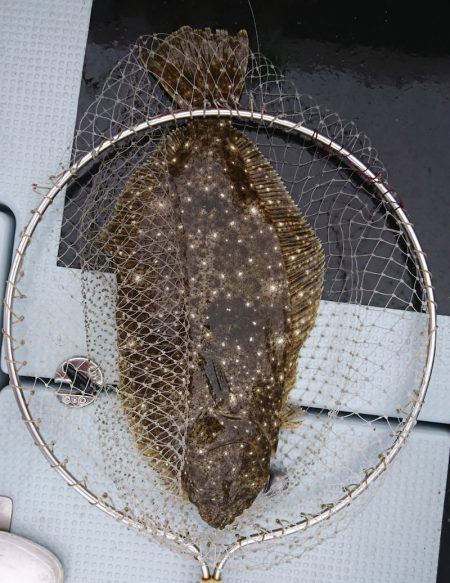 遊漁船 家入 釣果