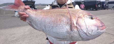 第三共栄丸 釣果