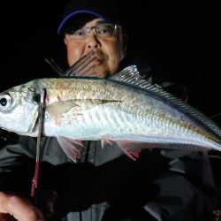 シースナイパー海龍 釣果