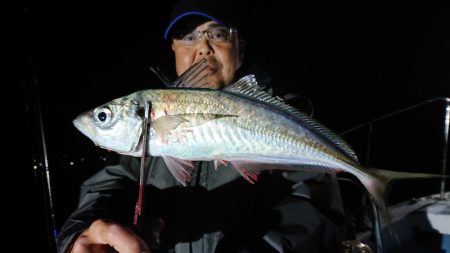 シースナイパー海龍 釣果