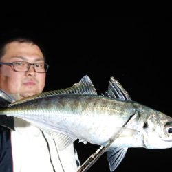 シースナイパー海龍 釣果