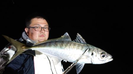 シースナイパー海龍 釣果