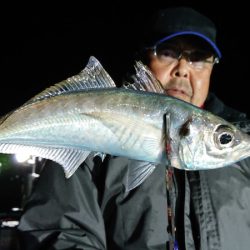 シースナイパー海龍 釣果