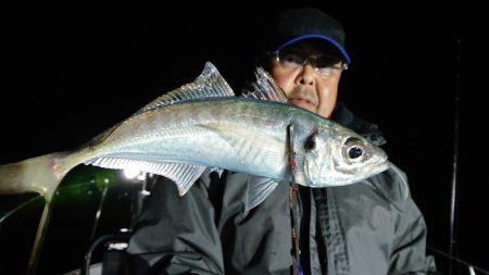 シースナイパー海龍 釣果