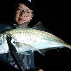 シースナイパー海龍 釣果