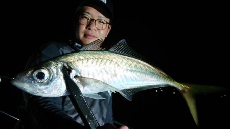 シースナイパー海龍 釣果