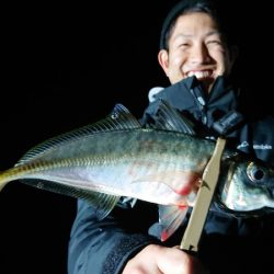 シースナイパー海龍 釣果