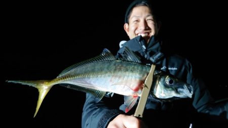 シースナイパー海龍 釣果