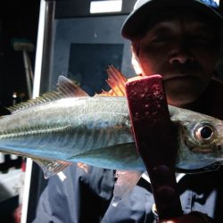 シースナイパー海龍 釣果