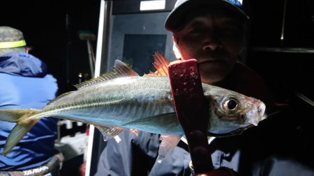 シースナイパー海龍 釣果