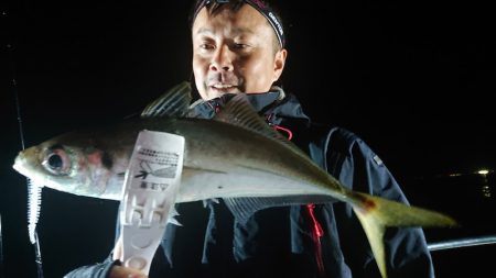 シースナイパー海龍 釣果