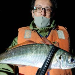 シースナイパー海龍 釣果