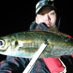 シースナイパー海龍 釣果