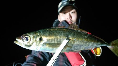シースナイパー海龍 釣果