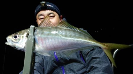 シースナイパー海龍 釣果