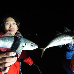 シースナイパー海龍 釣果