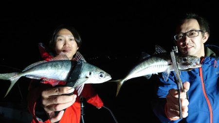 シースナイパー海龍 釣果