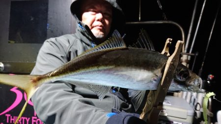 シースナイパー海龍 釣果