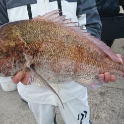 第三共栄丸 釣果