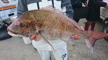 第三共栄丸 釣果