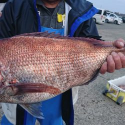 第三共栄丸 釣果