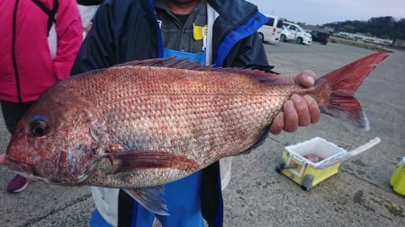 第三共栄丸 釣果