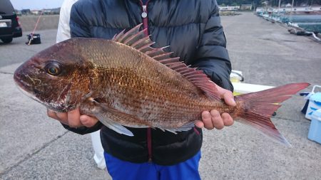 第三共栄丸 釣果